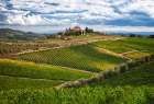 Italy-Tuscany A view of the vineyards and villa in Chianti region of Tuscany-Italy Art Print